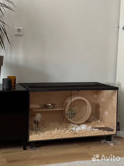 Витрина для грызуна ежа хомяка морской свинки