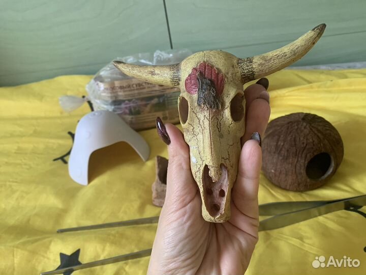 Укрытия для рептилий