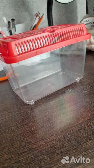 Террариум для рептилий