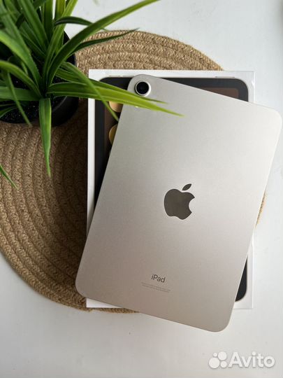 iPad Mini 6 64gb Starlight