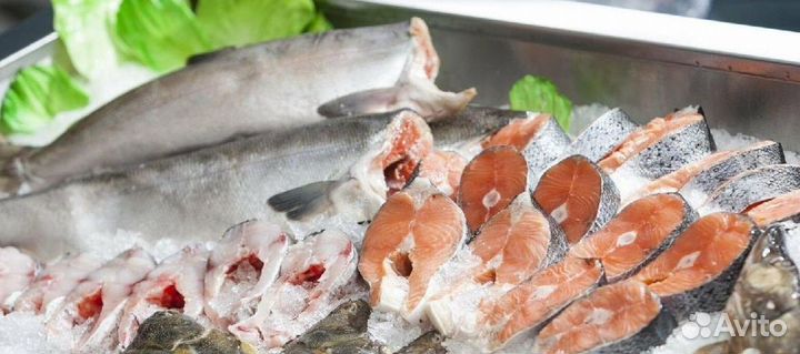 Магазин морепродуктов с проверенной прибылью