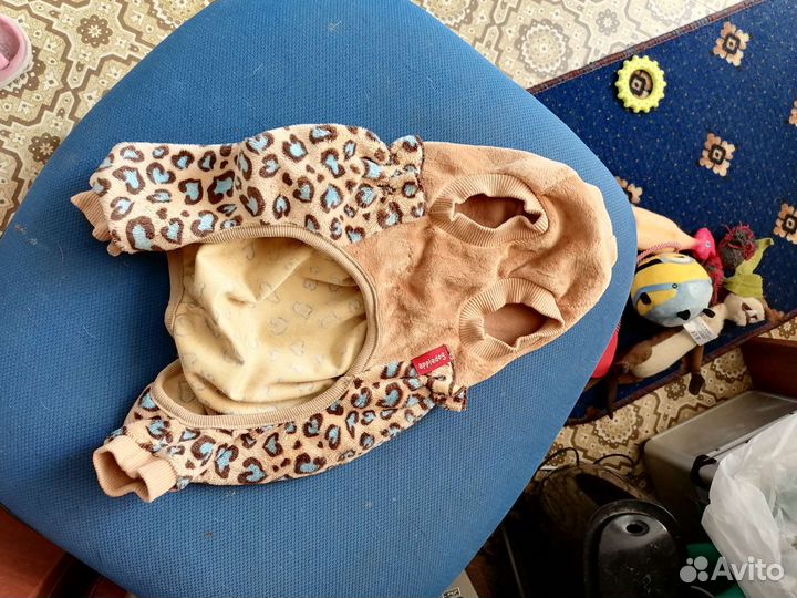 Одежда для собак мелких пород