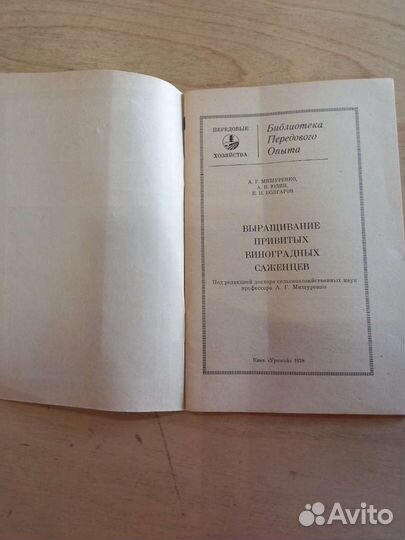 Выращивание привитых виноградных саженцев