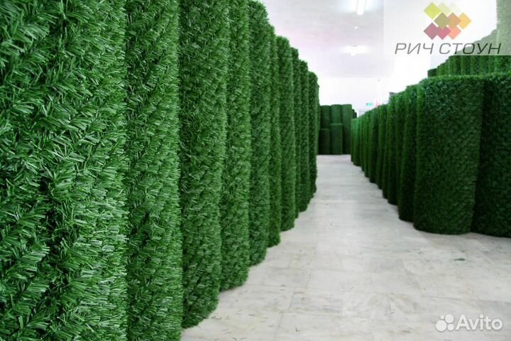 Зеленая изгородь
