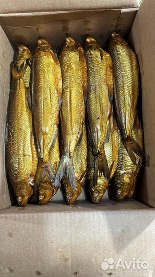 Копченая рыба