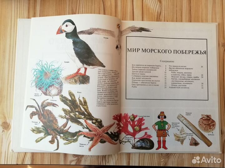 Детская энциклопедия