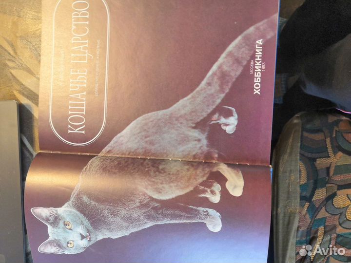Подарочные книги о кошках