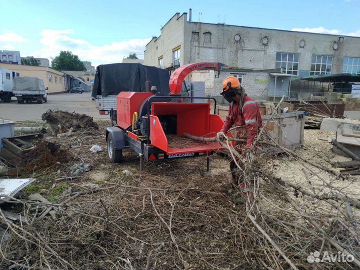 Расчистка участка, спил деревьев, дробление веток