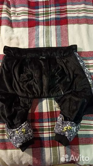 Костюмы осении для собак мальчиков