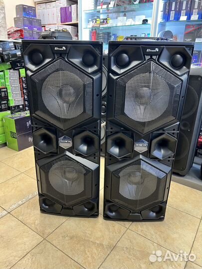 Колонки караоке ElTronic 30-25 v2 (4000 Вт)