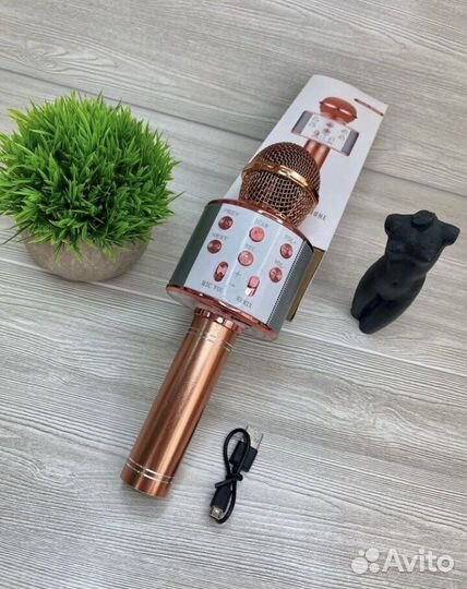 Колонка караоке с микрофоном