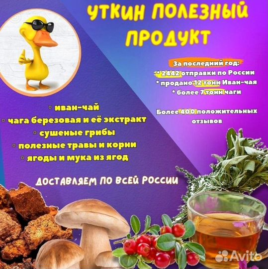 Иван чай опт