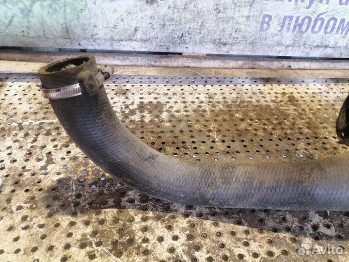 Патрубок интеркулера Opel Astra GTC