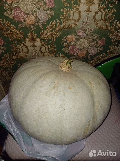 Домашние заготовки