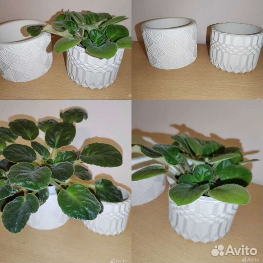 Кашпо, горшки для растений