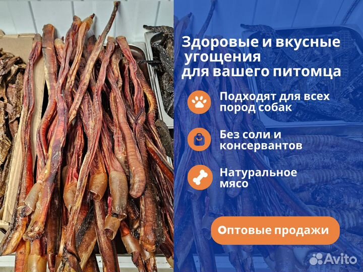 Вкусняшки лакомства для собак оптом