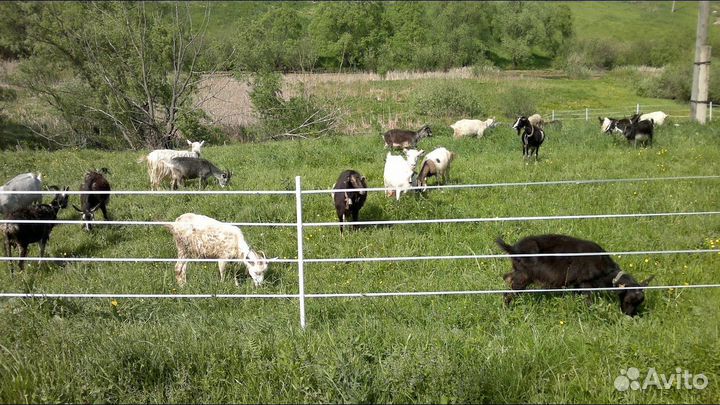 Проволока для электропастуха