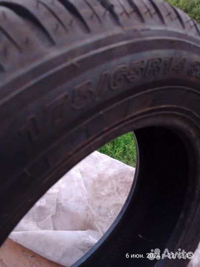 Белшина Artmotion Бел-264 14/65