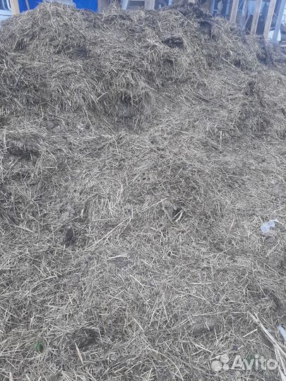 Навоз козий