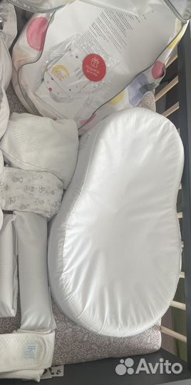 Кокон зевушка в отличном состоянии