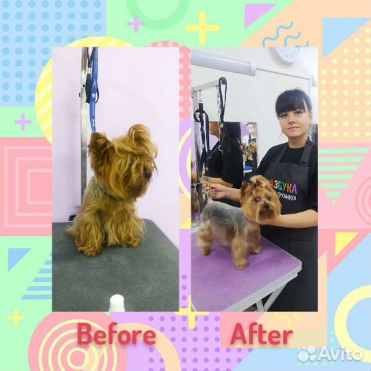 Груминг собак