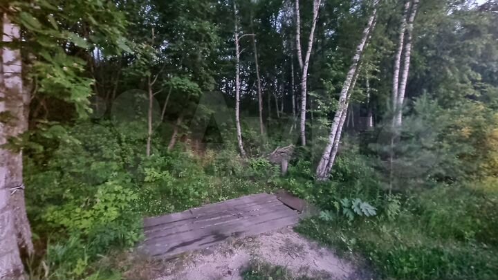 Участок 15 сот. (СНТ, ДНП)