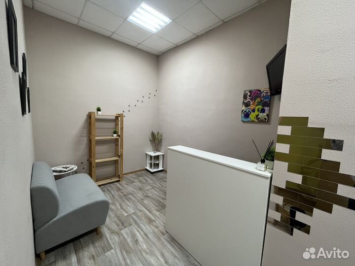 Груминг кошек и собак