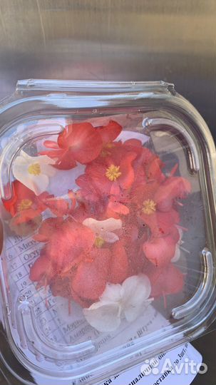 Микрозелень