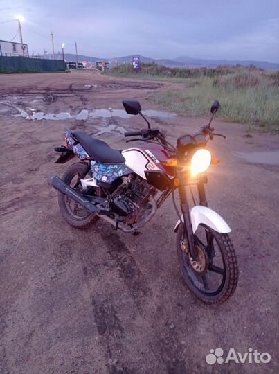 Racer 150-23 Tiger