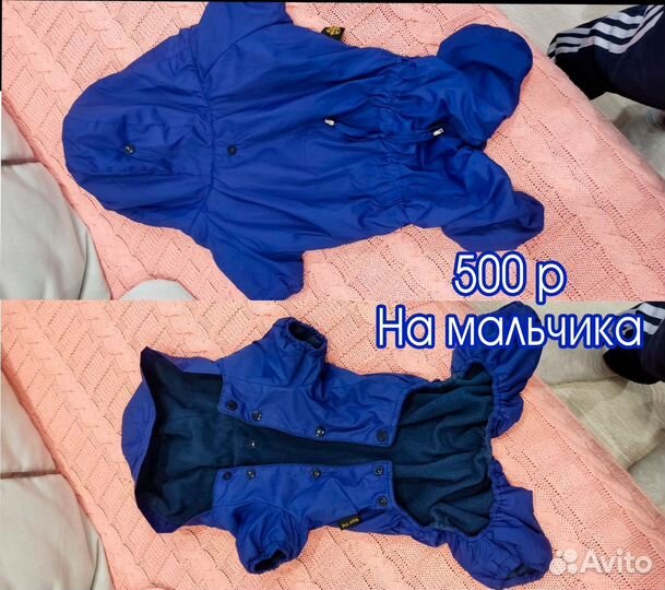 Комбинезон для маленькой собаки девочки и мальчика