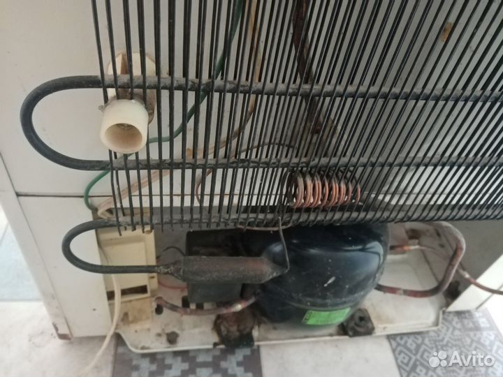 Холодильник Бирюса 6