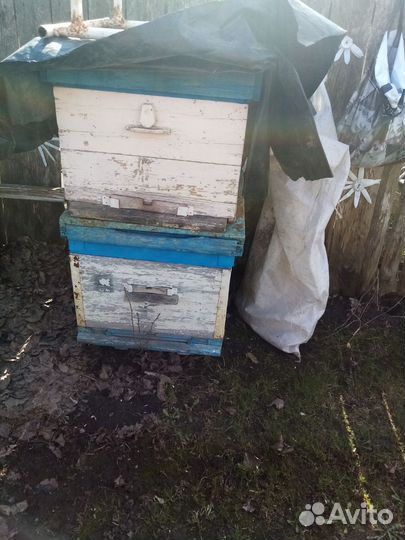 Улий для пчел