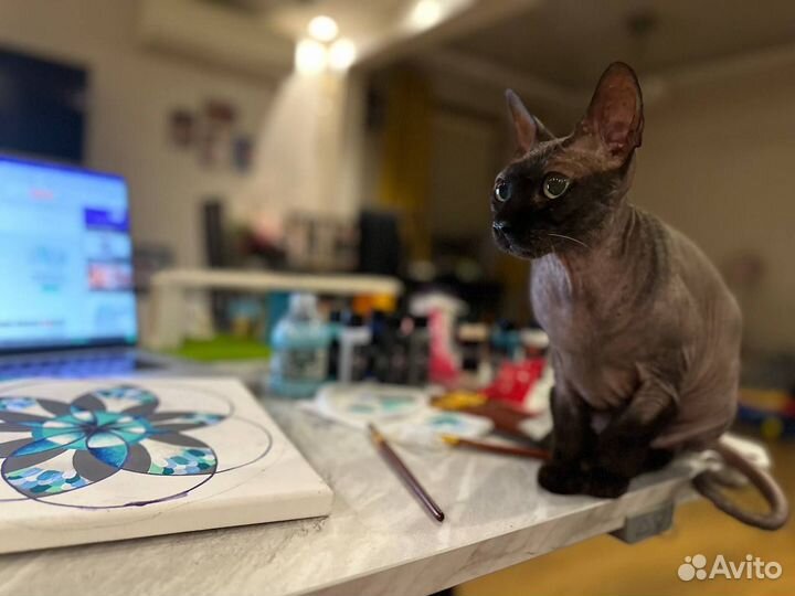 Занятие по Мандалотерапии 29 октября