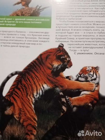 Детская энциклопедии