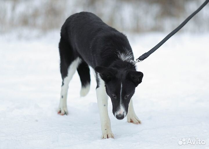 Выросла в приюте. Семья не нашлась