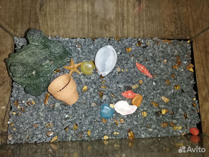 Отдам бесплатно аквариум 20 литрв