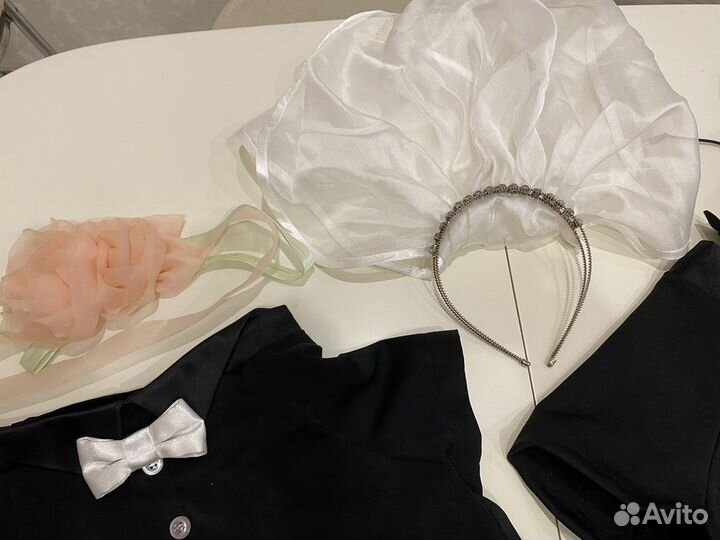 Одежда для выставки собаки