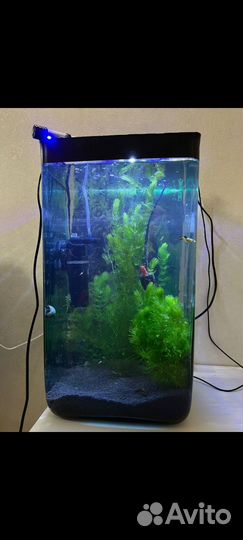 Аквариум 30 л из цельного, толстого стекла 7 мм