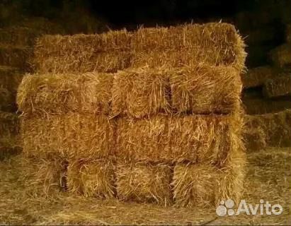 Сено солома опилки