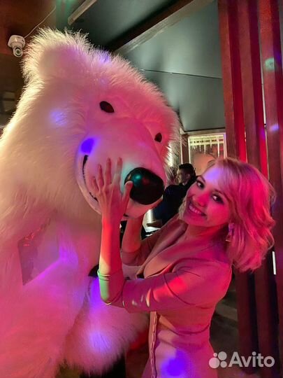 Мишки на поздравление