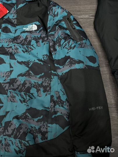 Горнолыжный костюм the north face