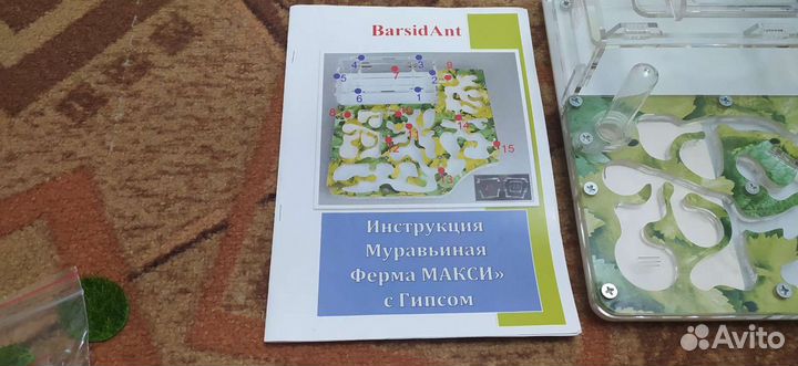 Муравьиная ферма новая