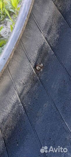 Michelin Energy Saver 195/55 R16