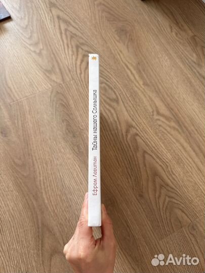 Тайны нашего солнышка Ефрем Левитан