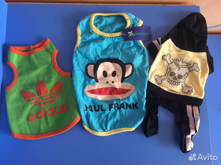 Новая одежда для собачек маленьких пород