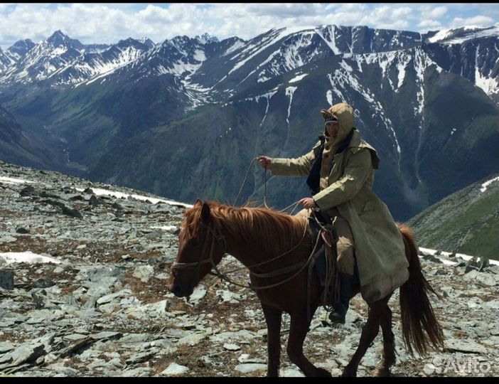 Конный поход