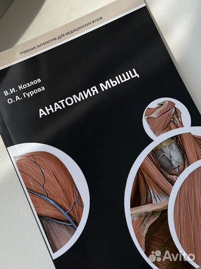 «Анатомия мышц» В.И. Козлов, О.А. Гурова