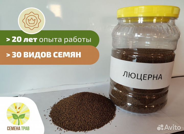 Семена люцерны