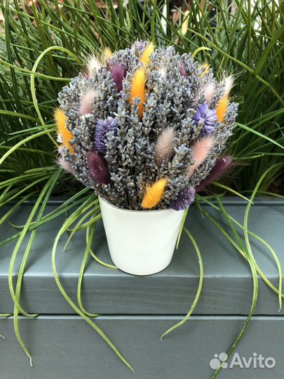 Ведерки с лавандой