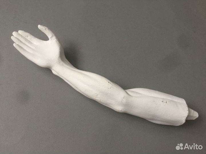 Экорше руки Гудона